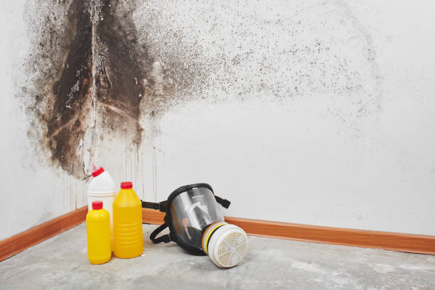 Best Commercial Mold Removal  in Orange, VA