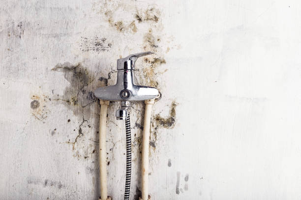 Reliable Orange, VA Mold Removal Solutions