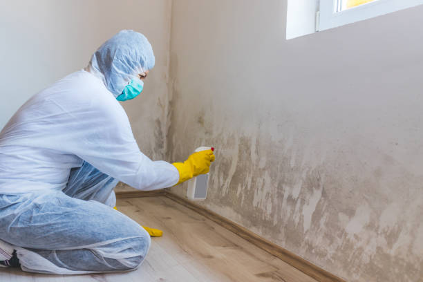 Best Professional Mold Removal  in Orange, VA