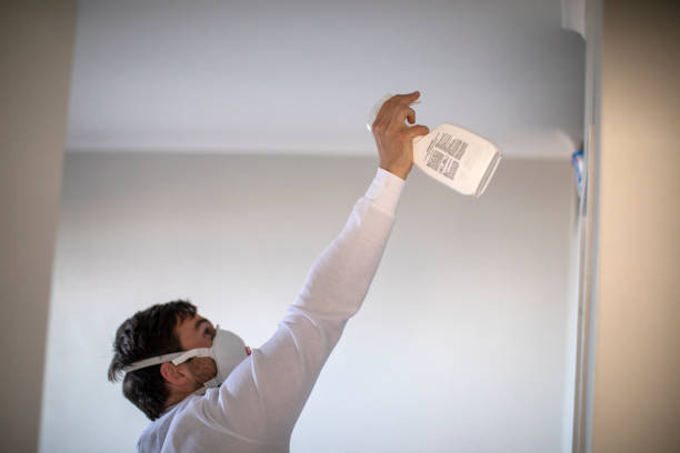 Home Mold Removal in Orange, VA