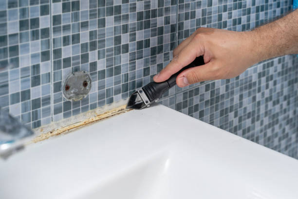 Best Fast Mold Removal  in Orange, VA