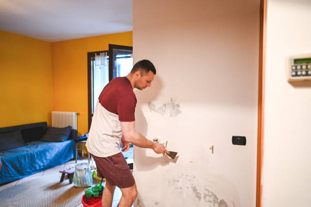 Best Best Mold Removal Companies  in Orange, VA
